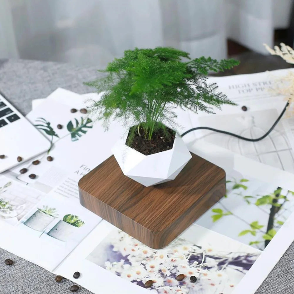 Levitating Air Bonsai Flower Pot