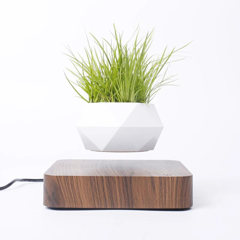 Levitating Air Bonsai Flower Pot