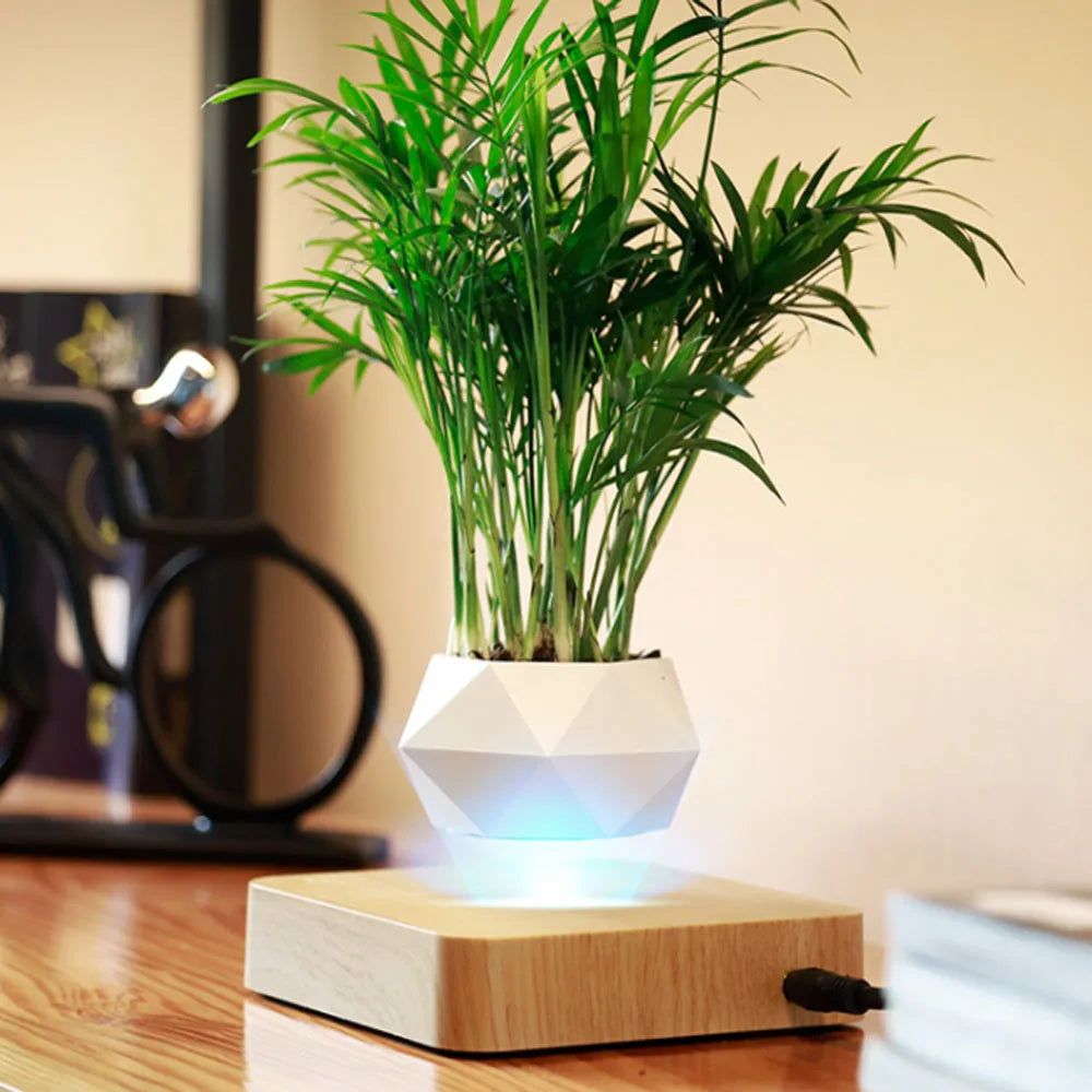 Levitating Air Bonsai Flower Pot