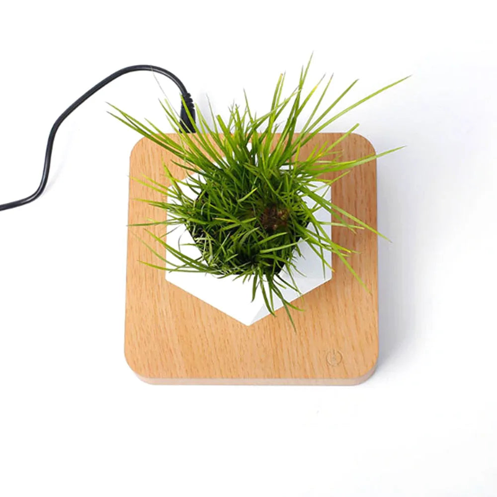 Levitating Air Bonsai Flower Pot