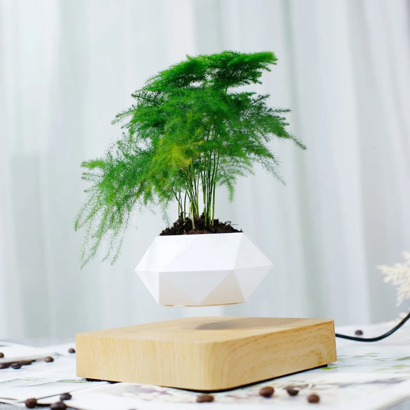 Levitating Air Bonsai Flower Pot