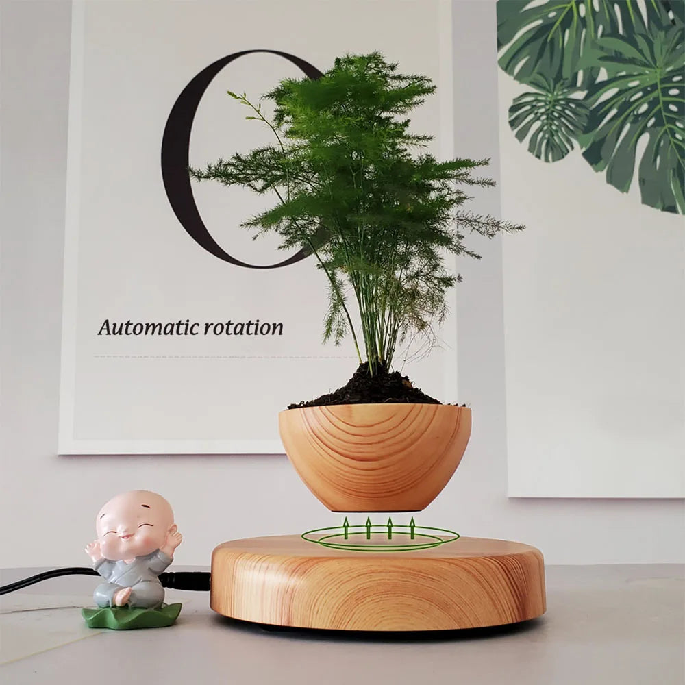 Levitating Air Bonsai Flower Pot
