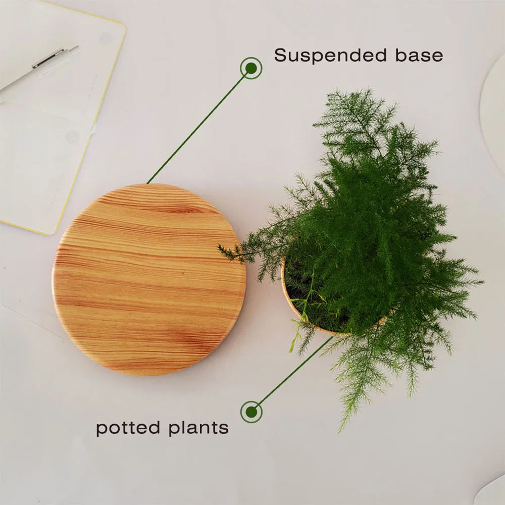 Levitating Air Bonsai Flower Pot