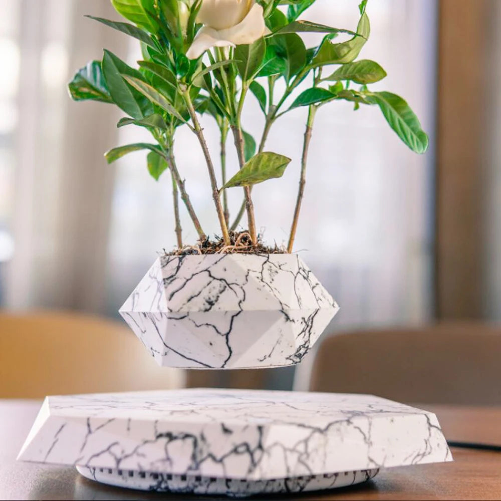 Levitating Air Bonsai Flower Pot