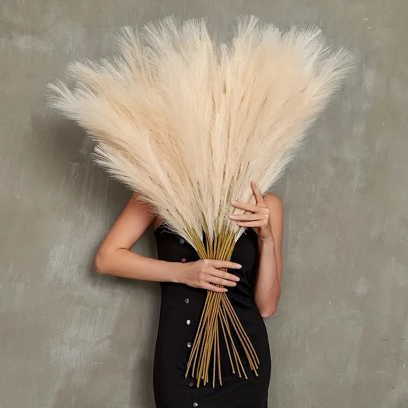 Pampas Grass