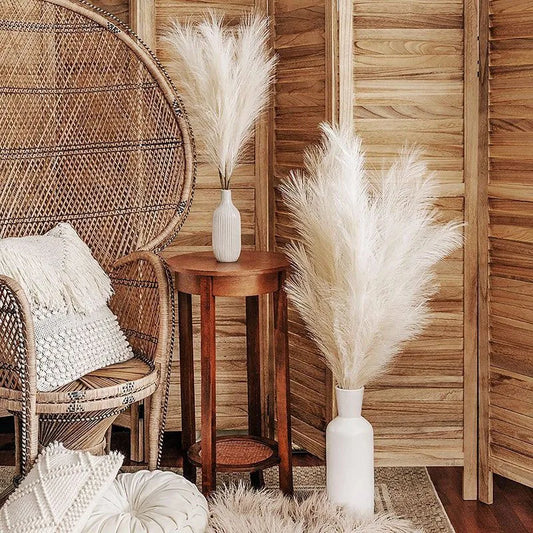 Pampas Grass