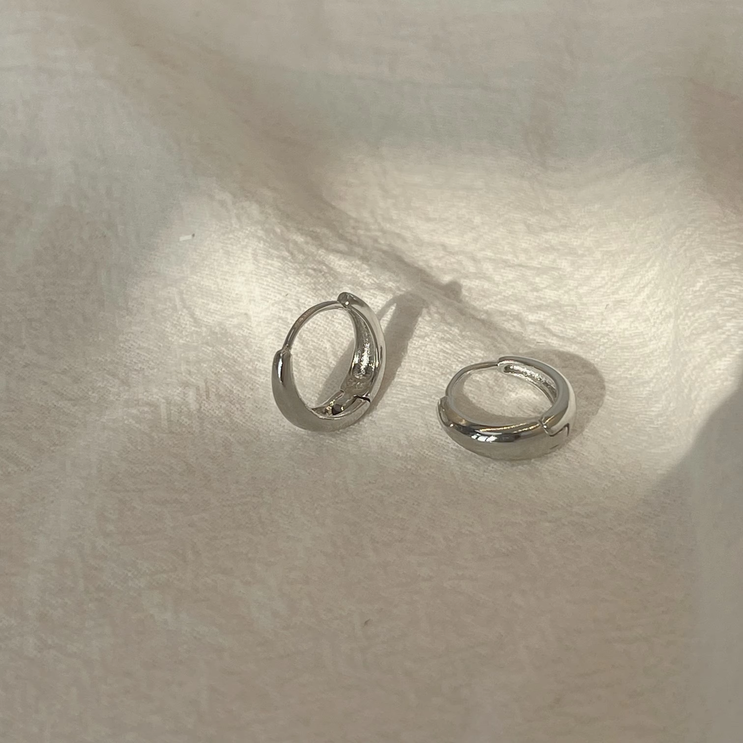 Stainless Steel Hoop Earrings