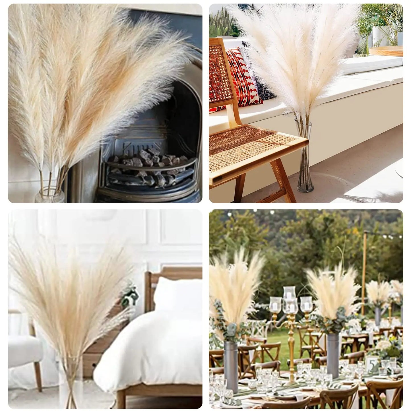 Pampas Grass