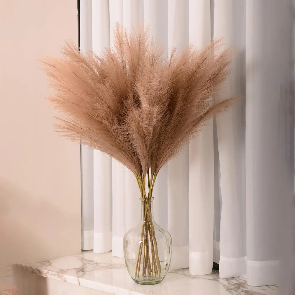 Pampas Grass